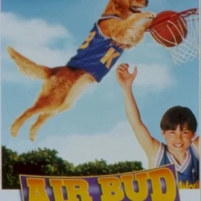 Photo du film : Buddy, star des paniers