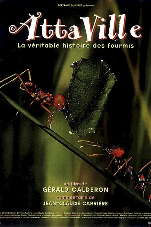 Affiche du film : Attaville, la veritable histoire des