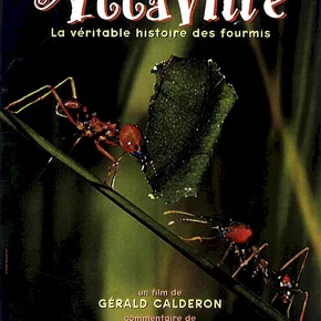 Photo du film : Attaville, la veritable histoire des