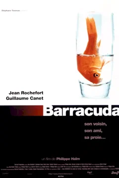 Affiche du film Barracuda
