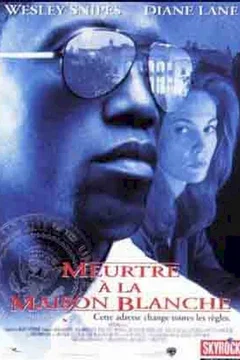 Affiche du film Meurtre a la maison blanche