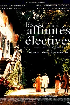 Affiche du film Les affinités éléctives