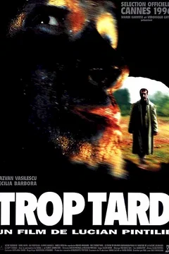 Affiche du film Trop tard
