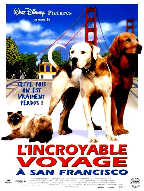 Affiche du film : L'incroyable voyage à San Francisco