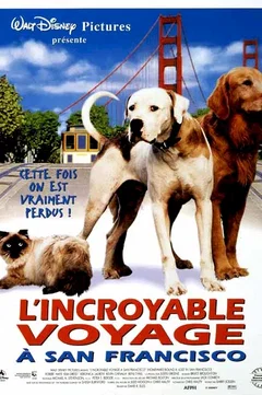 Affiche du film L'incroyable voyage à San Francisco
