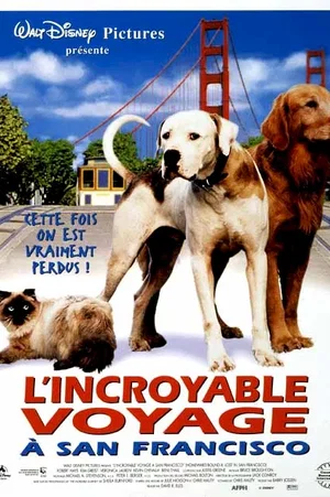 Affiche du film : L'incroyable voyage à San Francisco