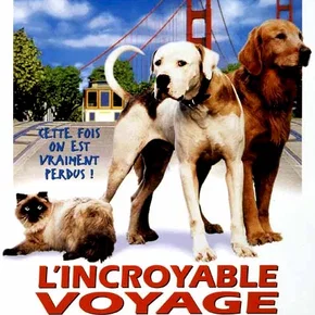 Photo du film : L'incroyable voyage à San Francisco