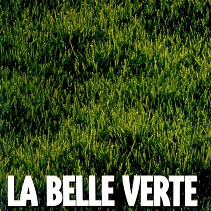 Miniature photo du film : La belle verte
