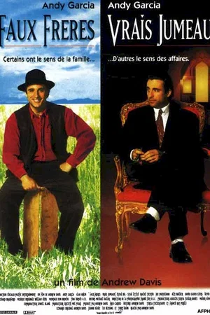 Affiche du film : Faux freres vrais jumeaux