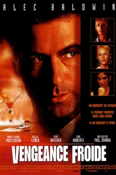 Affiche du film Vengeance froide