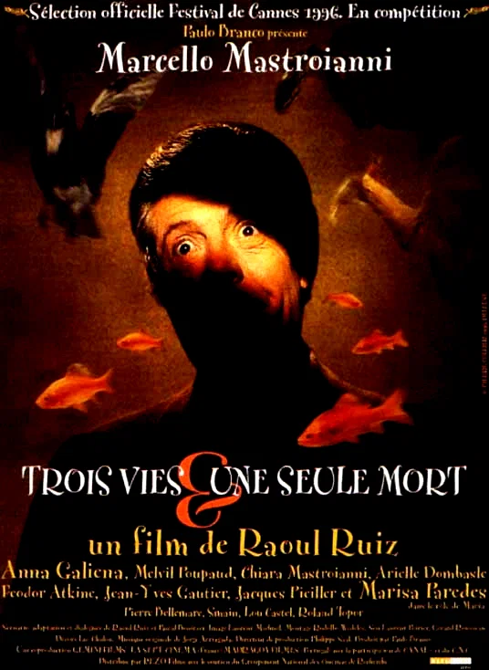 Affiche du film : Trois vies et une seule mort