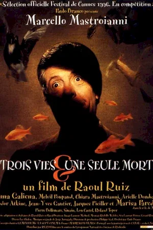 Affiche du film : Trois vies et une seule mort