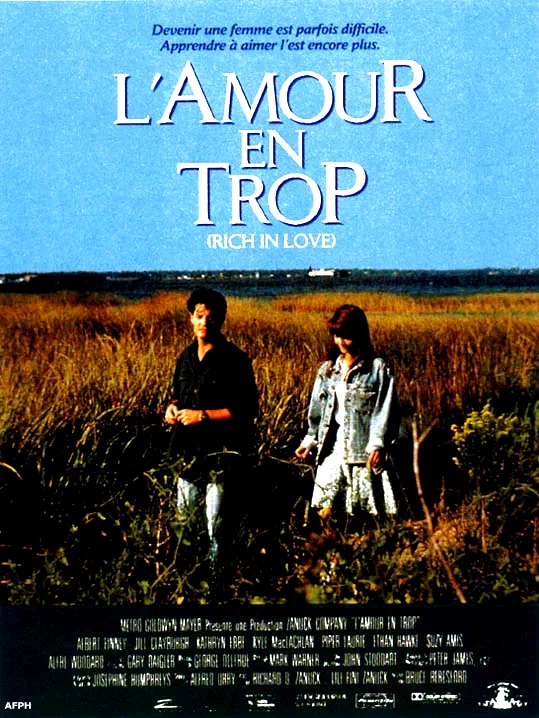 Affiche du film : L'amour en trop