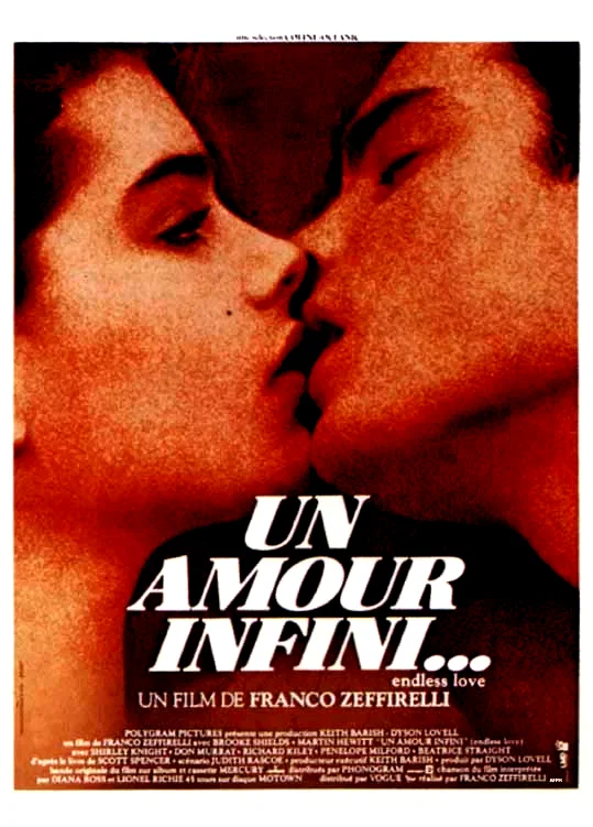 Affiche du film : Un amour infini