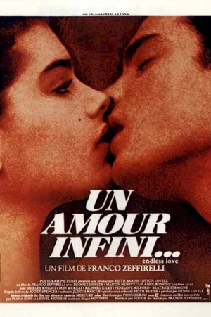 Affiche du film : Un amour infini