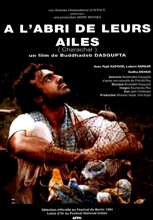 Affiche du film : A l'abri de leurs ailes