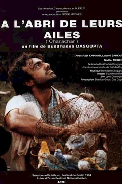 Affiche du film A l'abri de leurs ailes