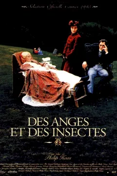 Affiche du film Des anges et des insectes