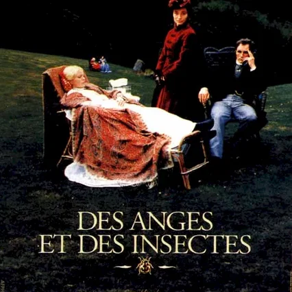 Miniature photo du film : Des anges et des insectes
