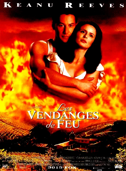 Affiche du film : Les vendanges de feu