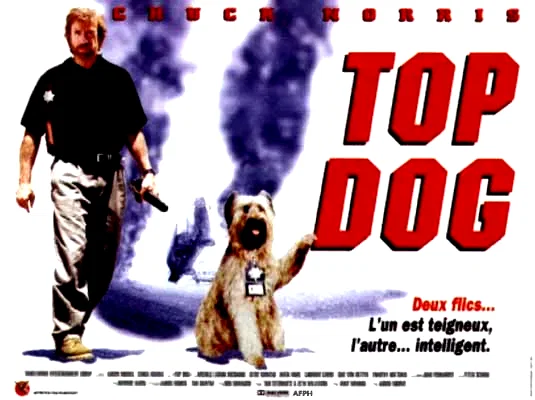 Affiche du film : Top dog