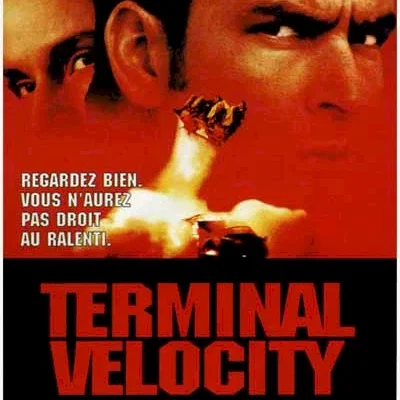 Miniature photo du film : Terminal velocity
