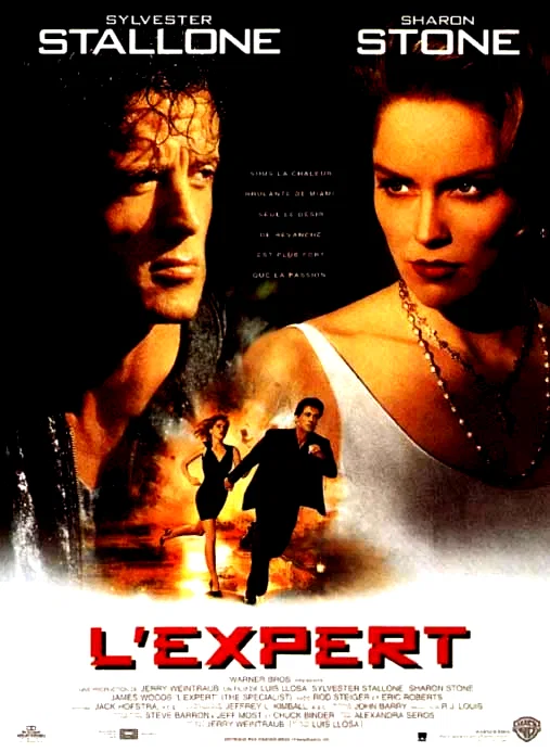 Photo 1 du film : L'expert