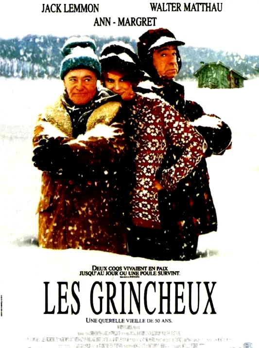 Affiche du film : Les grincheux