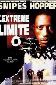 Affiche du film L'extreme limite