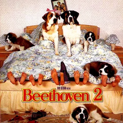 Miniature photo du film : Beethoven 2