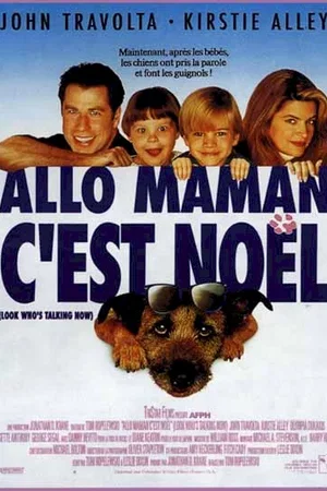 Affiche du film : Allo maman c'est noel