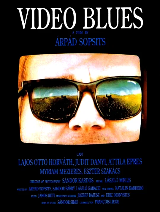 Affiche du film : Video blues