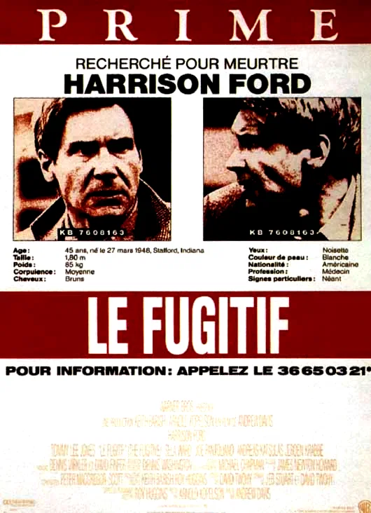 Affiche du film : Le Fugitif