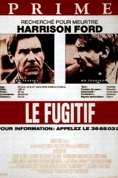 Affiche du film Le Fugitif