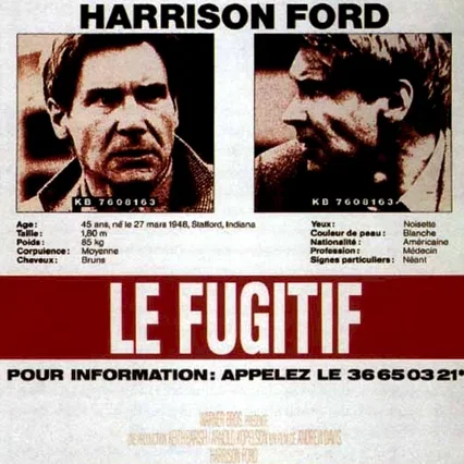 Miniature photo du film : Le Fugitif