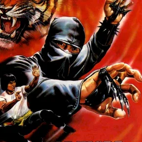Photo du film : Le tigre contre ninja