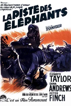 Affiche du film La piste des elephants