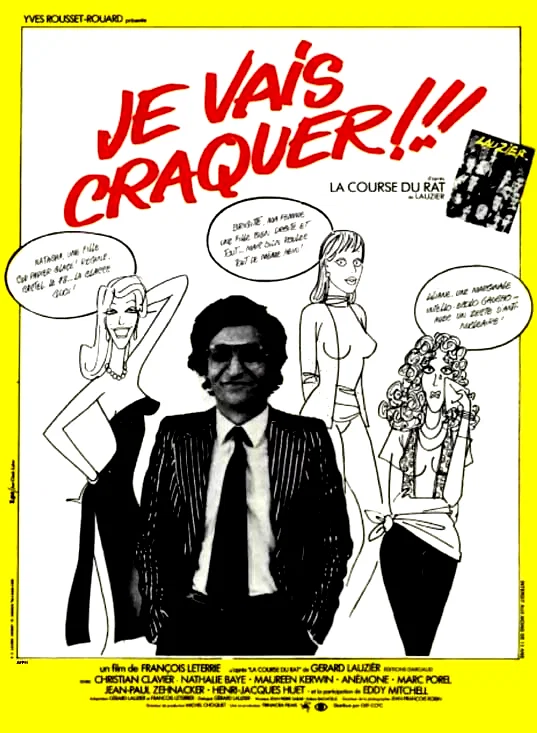 Affiche du film : Je vais craquer