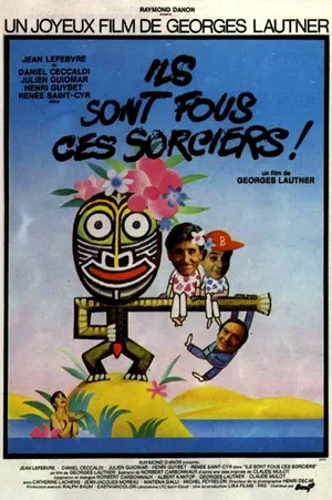 Affiche du film : Ils sont fous ces sorciers