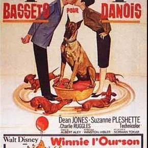 Photo du film : Quatre bassets pour un danois