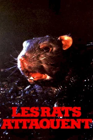 Affiche du film : Les rats attaquent
