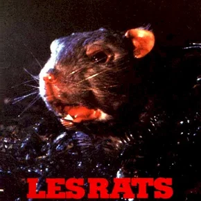 Photo du film : Les rats attaquent