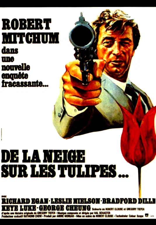 Affiche du film : De la neige sur les tulipes
