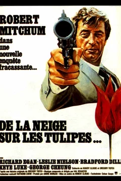 Affiche du film De la neige sur les tulipes