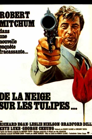 Affiche du film : De la neige sur les tulipes