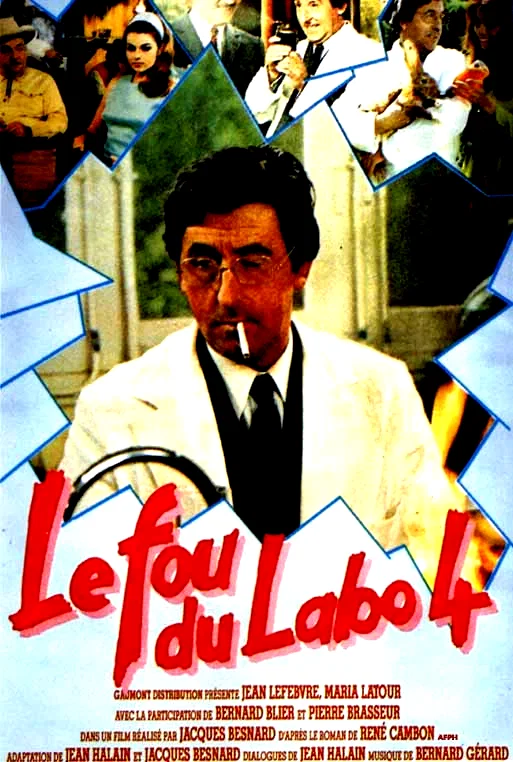 Affiche du film : Le fou du labo 4