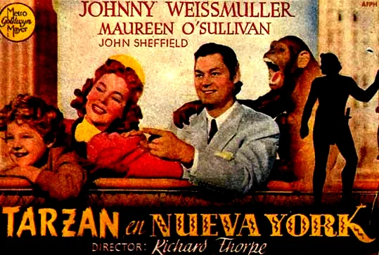 Affiche du film : Tarzan a new york