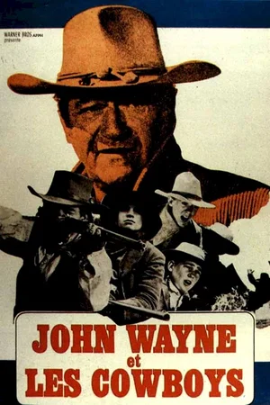 Affiche du film : Les cow boys
