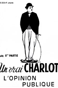 Affiche du film L'opinion publique