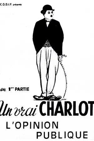 Affiche du film : L'opinion publique